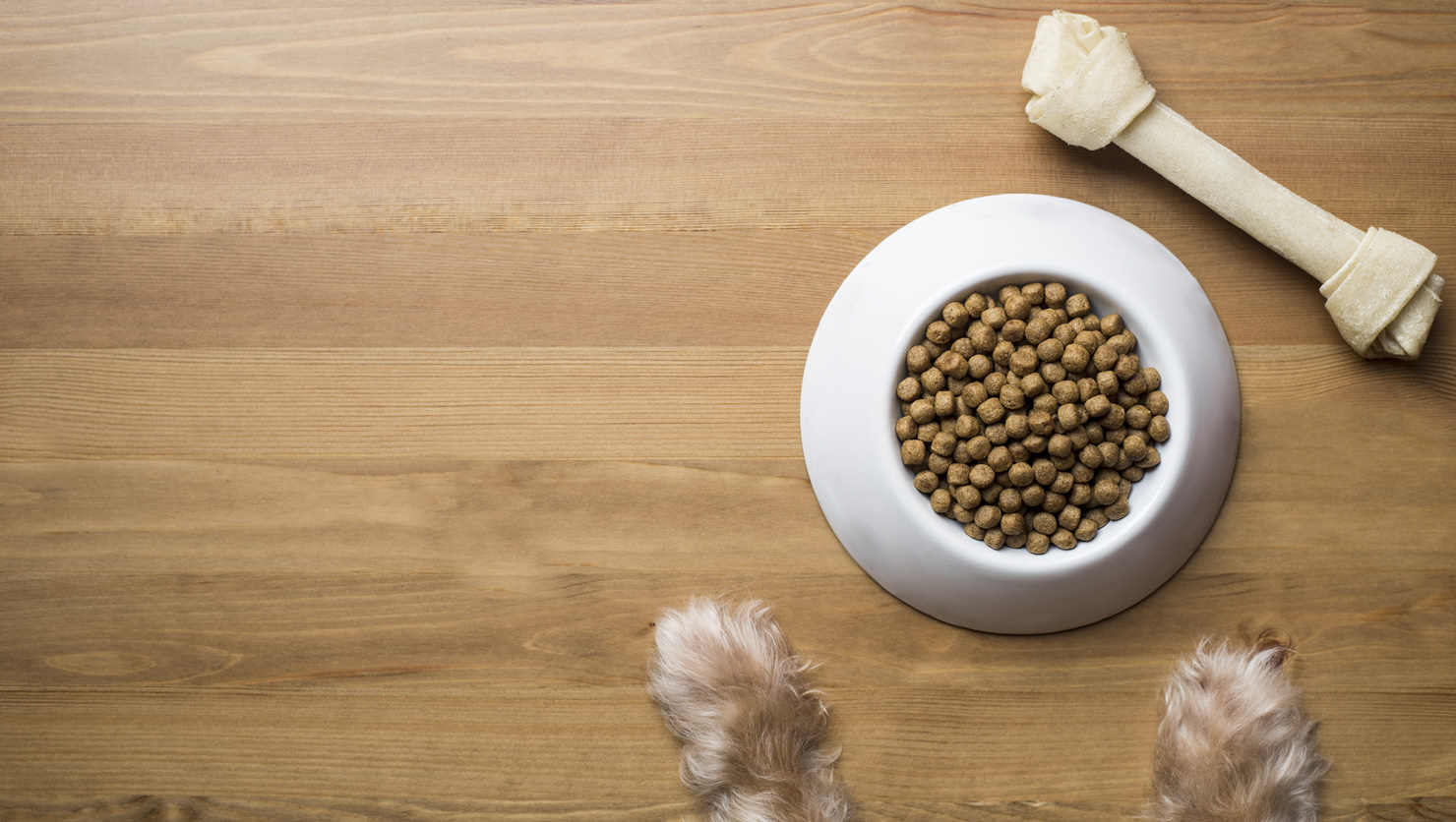 可以讓貓狗吃人吃的食物嗎？